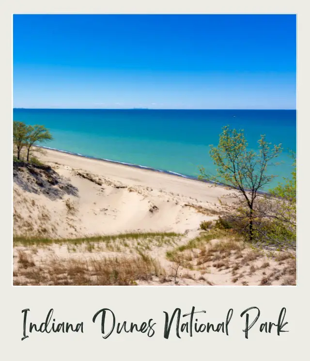 The 10 Best National Parks for Wildlife Viewing in the US (and the 5 Worst Ones) Indiana Dunes National Park Lake Michigan