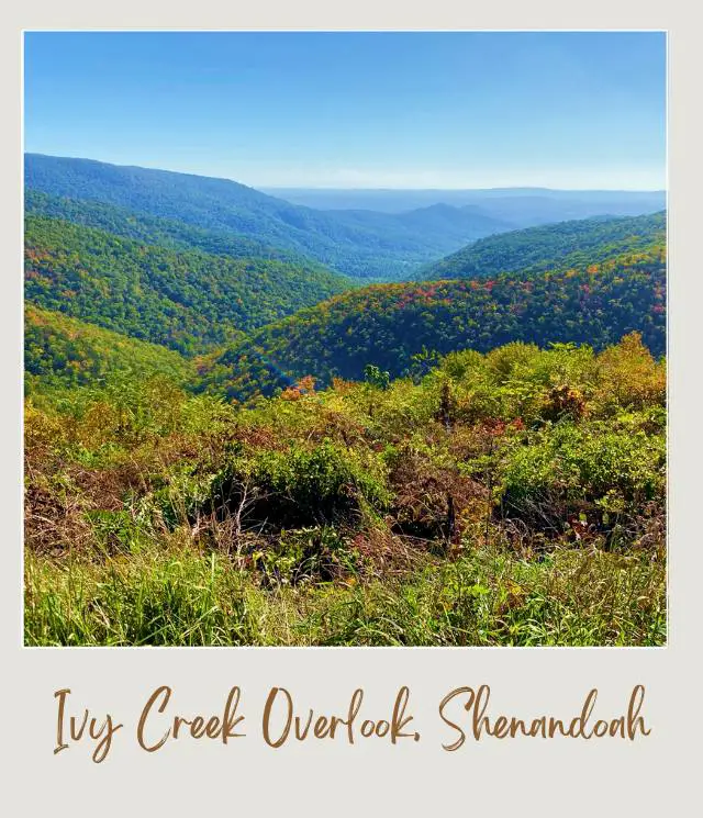 25 Best Overlooks on Skyline Drive Ivy Creek Overlook Shenandoah National Park