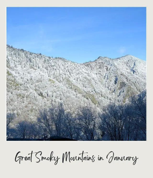 View of snow-capped mountain, and below are trees covered with snow in Great Smoky Mountains National Park.