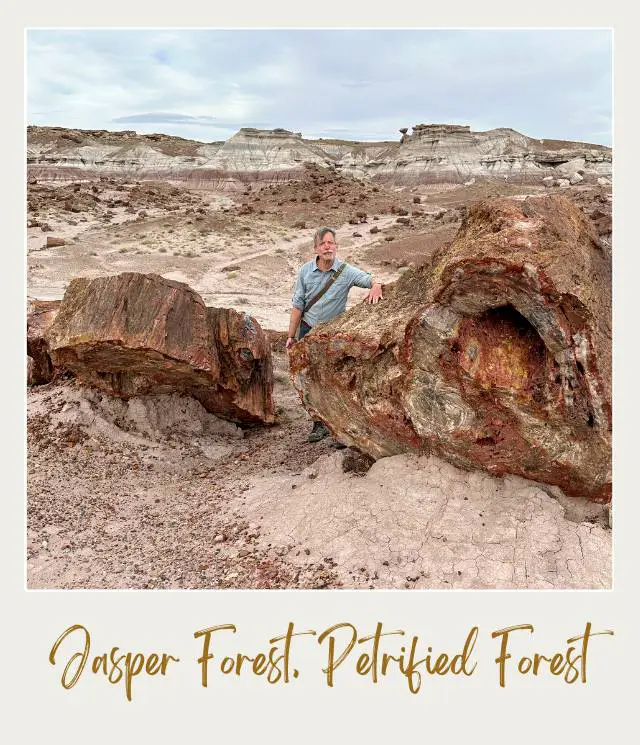 Jasper Forest Petrified National Park