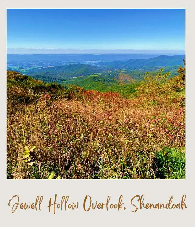 25 Best Overlooks on Skyline Drive Jewell Hollow Overlook Shenandoah National Park