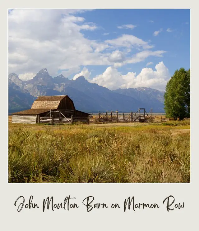 A barn next to a tree surrounded by grasses and behind are mountains in Grand Teton National Park.