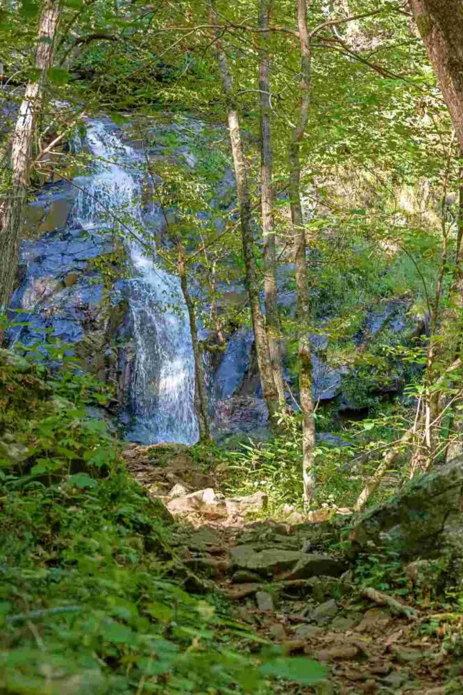 Jones Run Falls Shendandoah National Park