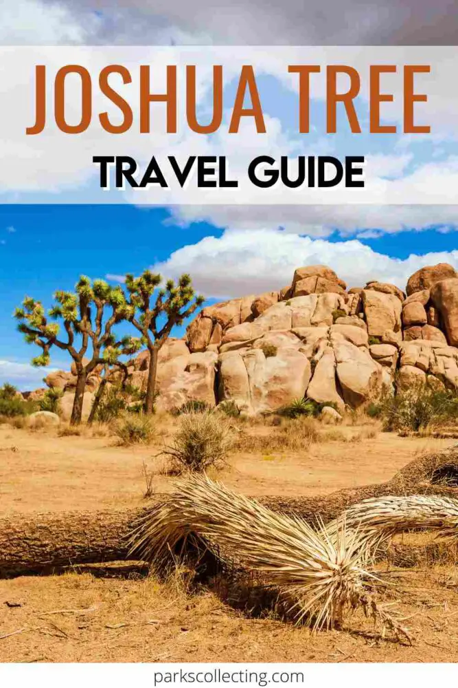 Joshua Tree Travel Guide