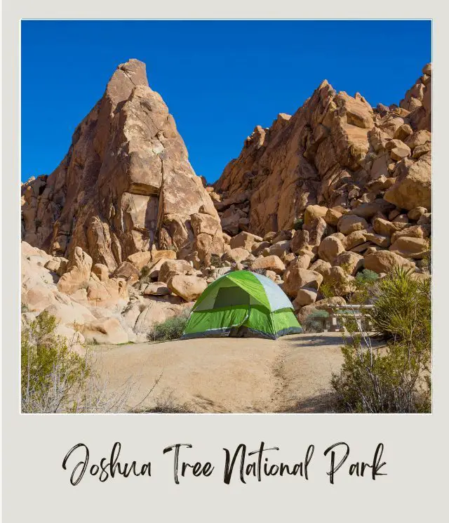 Joshua Tree National Park Joshua Campsite