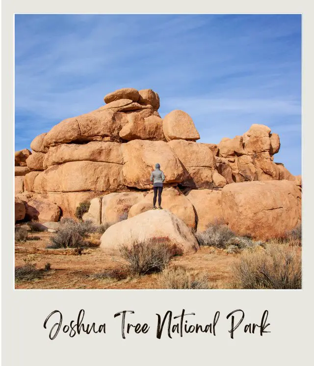 Joshua Tree National Park Joshua Giant Rock Formation