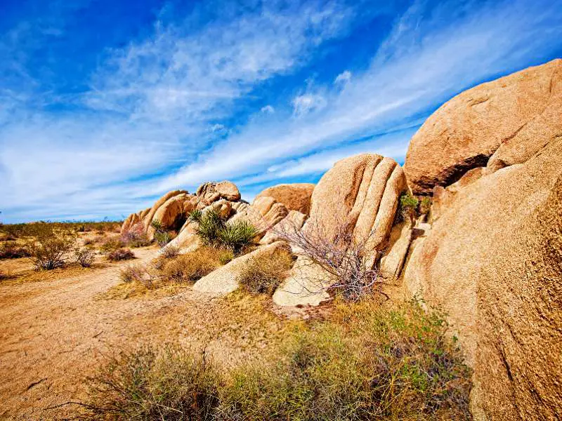 Huge stones surrounded by bushes in Joshua Tree National Park.
