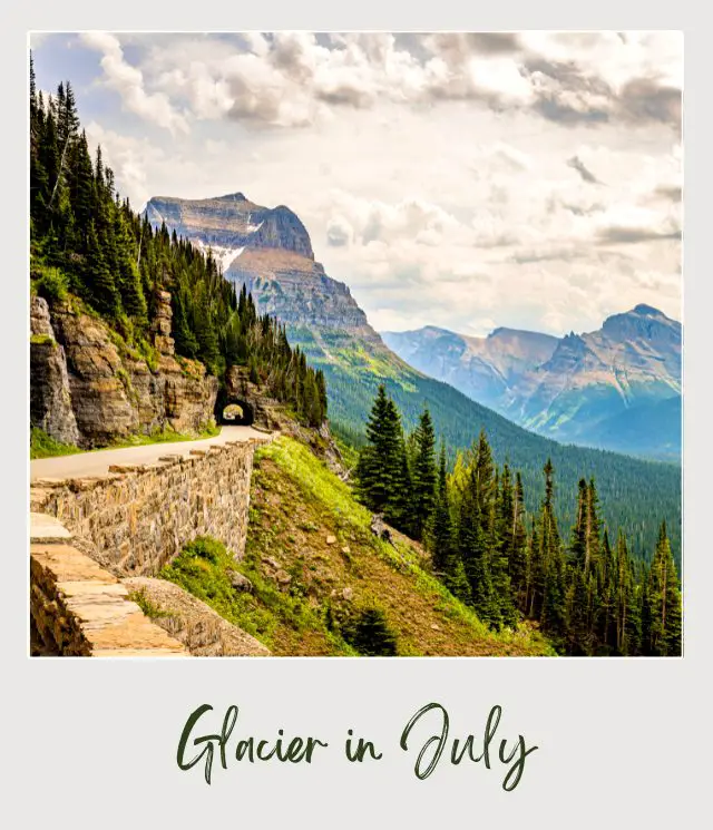 A concrete road passing through a tunnel beside the mountain surrounded by trees in Glacier National Park.