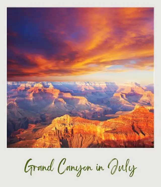 Rock mountains surrounded by tree bushes under the sun in Grand Canyon National Park