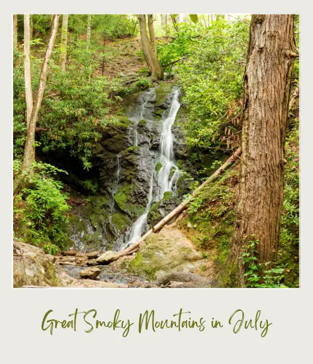 Waterfalls surrounded by trees and stones in Great Smoky Mountains National Park.