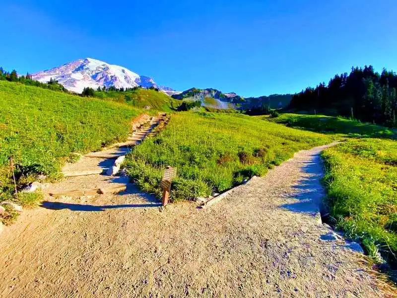Two small roads and small wooden signage surrounded by green grasses, and on the other side are trees and snow-capped mountains in Skyline Trail Mt Rainier National.