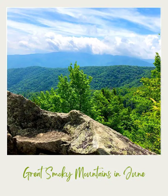 View of mountains of trees from a huge rock in Great Smoky Mountains National Park.