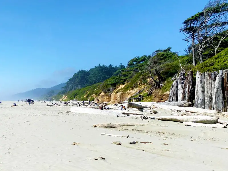 Kalaloch Beach Olympic National Park