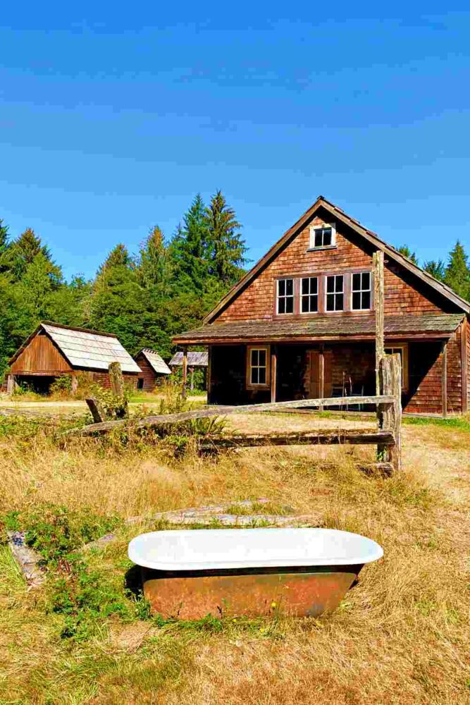 An old bathtub on the grassy ground, and behind are cabins surrounded by trees in Olympic National Park