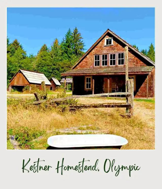 Lake Quinault Loop Drive: A Complete Guide for First Time Visitors An old bathtub on the grassy ground, and behind are cabins surrounded by trees in Olympic National Park