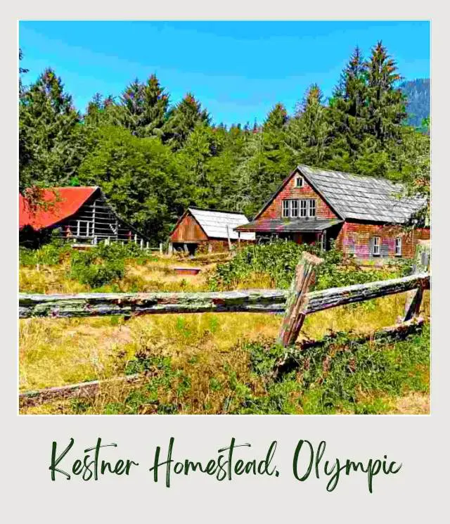 5 Best Lake Quinault Hikes Old wooden railings and behind are three houses surrounded by trees and plants in Lake Quinault Olympic National Park