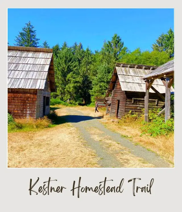 21 Best Things to Do in Olympic National Park A man on the small road between two cabins and behind are trees in Small road surrounded by mossy trees, ferns, and other trees in Kestner Homestead - Maple Glade Olympic National Park.