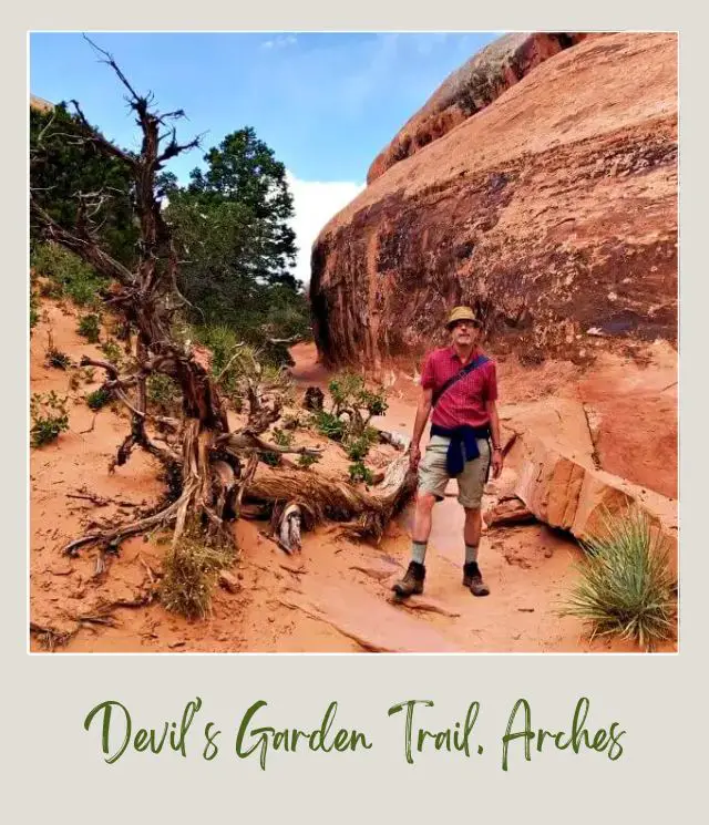 Kevin standing on the trail in Devil's Garden in the middle of huge rocks and some bushes and small trees.