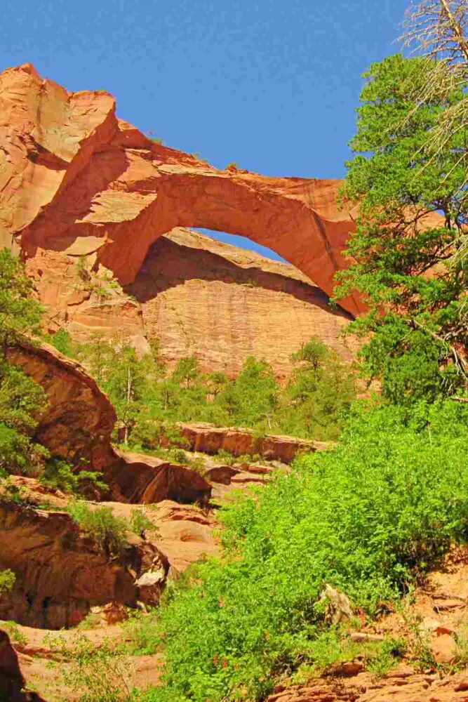 Huge stone arch surrounded by trees in Zion National Park