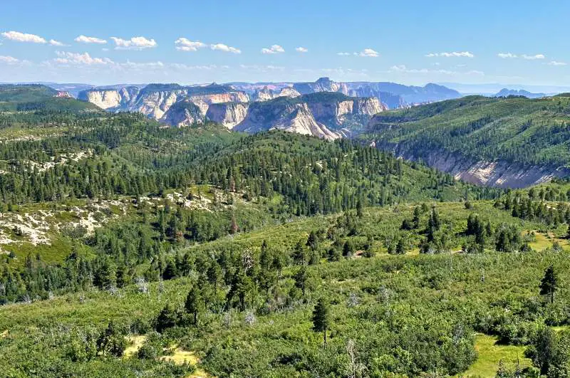 forest and top of distant Zion Canyon from lava Point Lookout on Kolob terrace drive in Zion National park