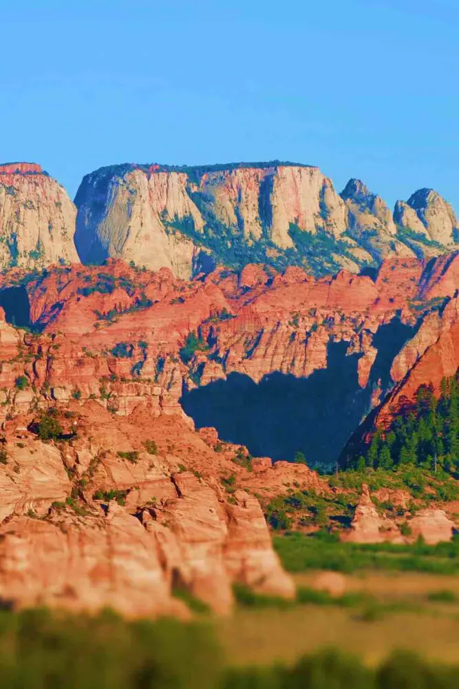 Red rock cliffs surrounded by trees in Zion National Park