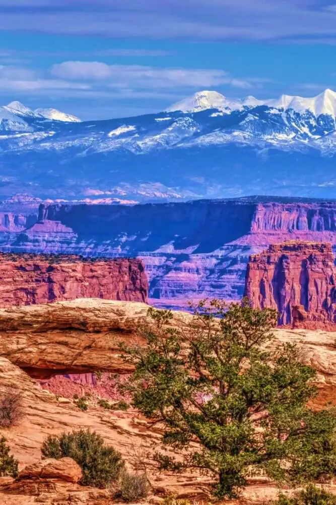 Canyonlands national park spring