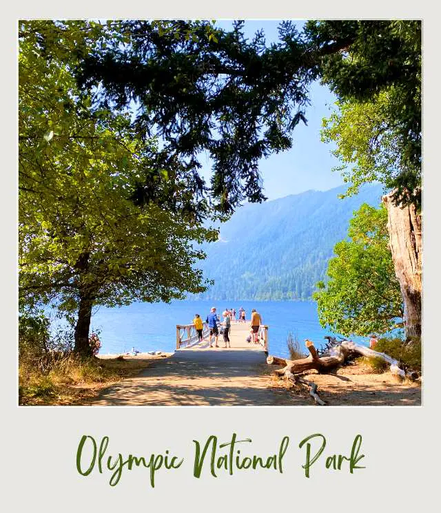 View people standing on a wooden bridge near the Lake Crescent in Olympic National Park.