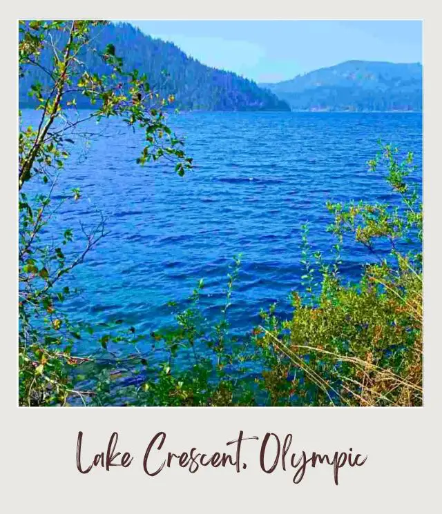 10 Best Views In Olympic National Park: Complete Guide to the Top Scenic Spots Blue lake is surrounded by trees and mountains in Olympic National Park.