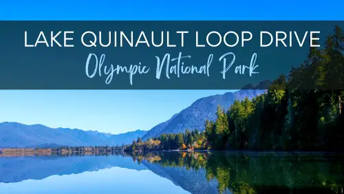 View of a lake with the reflection of mountains and trees, with the text, Lake Quinault Loop Drive Olympic National Park.