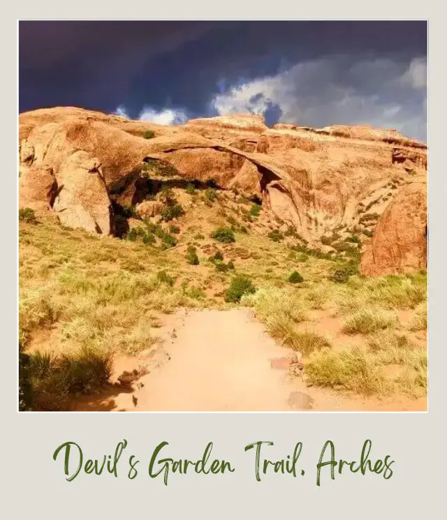 View of trail surrounded by bushes and above are huge rock formations in Devils Garden in Arches National Park.