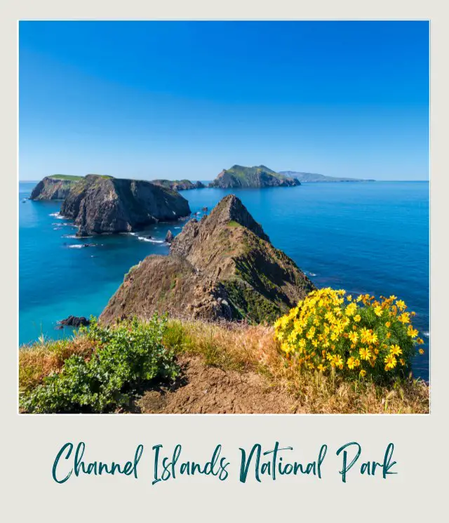 View of ocean and beach in Channel Islands National Park.