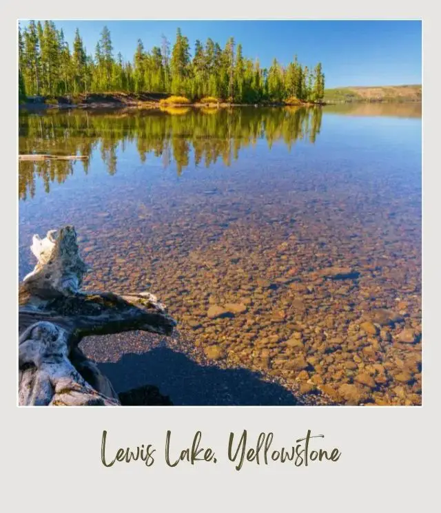 The Best Camping in Yellowstone National Park: Complete Guide lake with clear water and pebbly bottom with some trees on edge