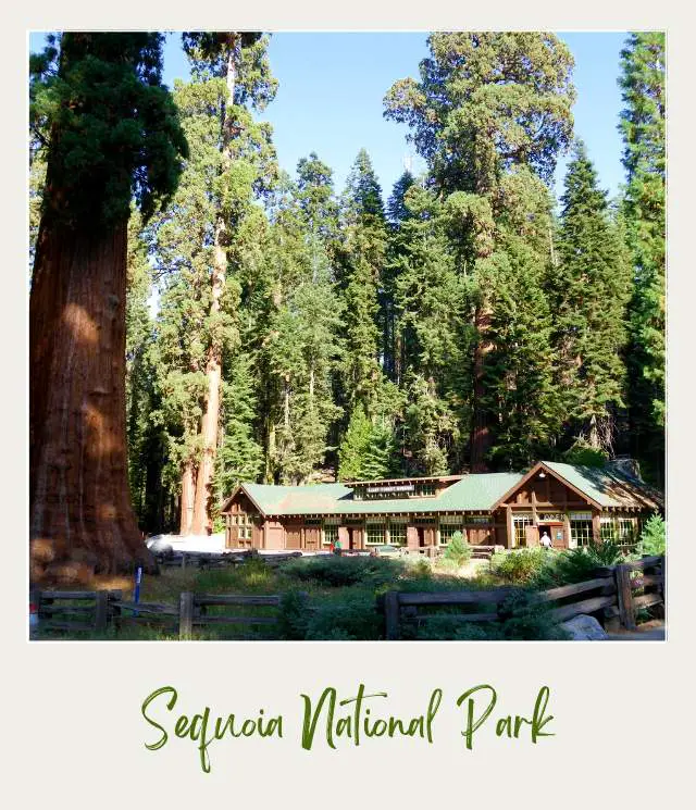 Lodge in Sequoia National Park