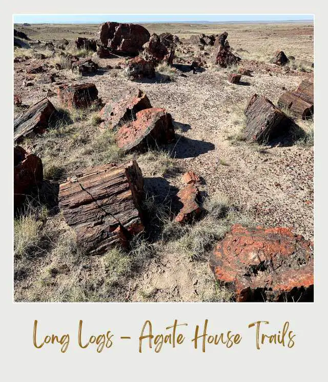 Long Logs Agate House Trails Petrified National Park