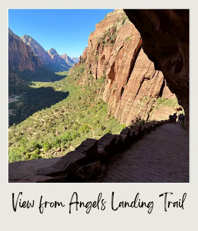 Looking down in Angels Landing in Zion National Park