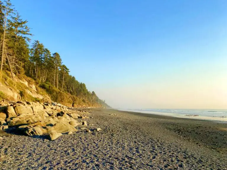 Kalaloch Beach 4, Olympic National Park 2025