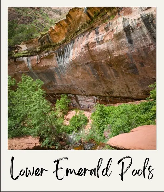 The 5 Best Easy Hikes in Zion National Park rocky overhang with small waterfall at Lower Emerald Pools in Zion National Park