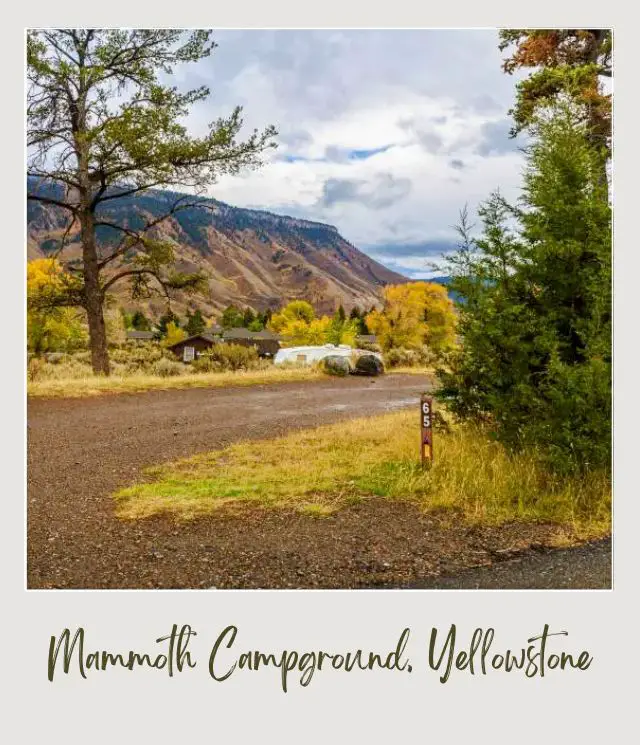The Best Camping in Yellowstone National Park: Complete Guide Mammoth Campground in Yellowstone National Park