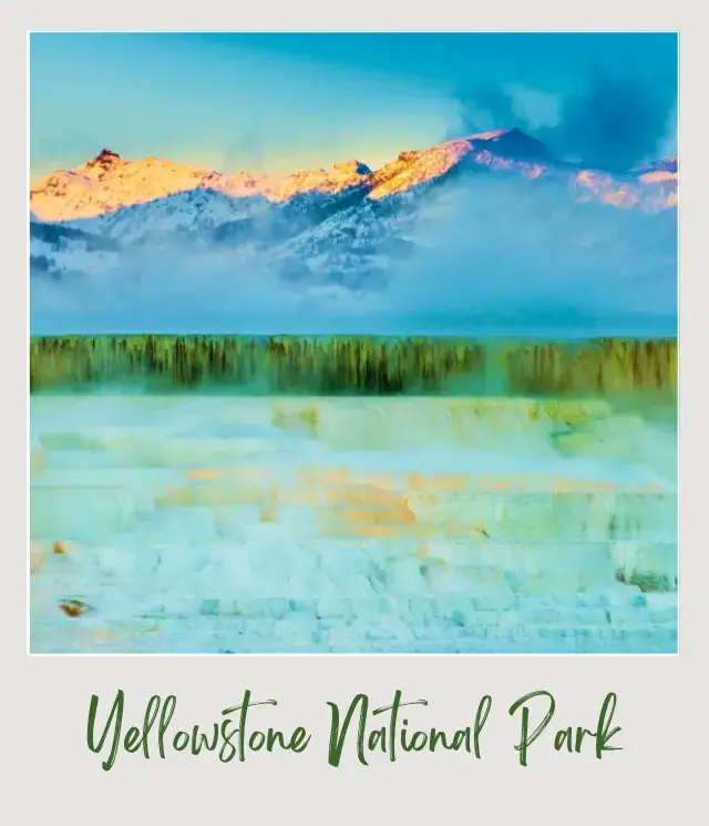 How to Visit Yellowstone in Winter: Complete Guide Yellowstone Winter Mommoth Hot Springs travertine terraces with snowy mountains behind them