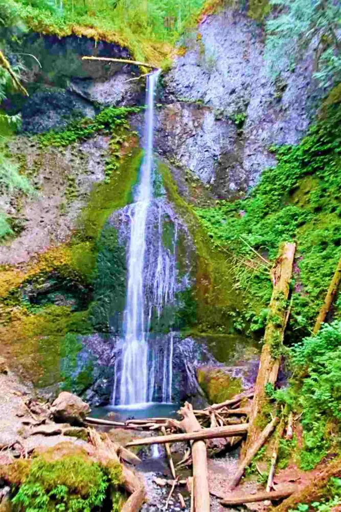 Falls surrounded by logs and rocks covered with mosses in Lake Crescent Olympic National Park