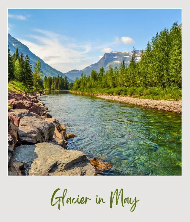 A river surrounded by trees, and stones, and behind are mountains in Glacier National Park.