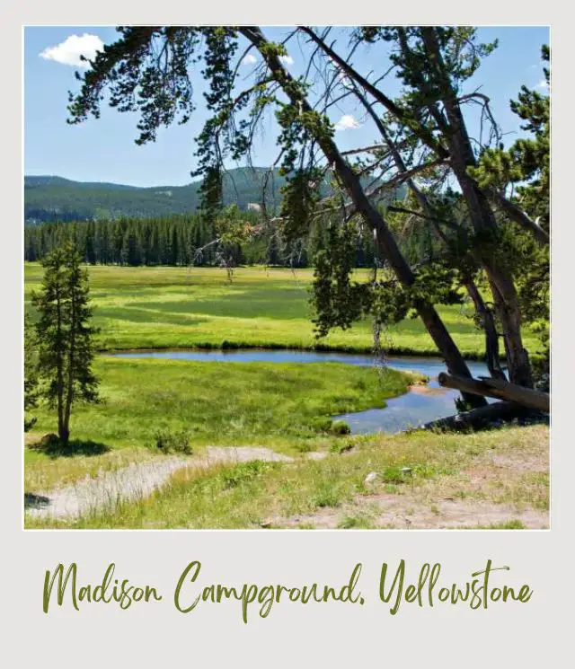 The Best Camping in Yellowstone National Park: Complete Guide Meadows surrounding Madison Campground in Yellowstone