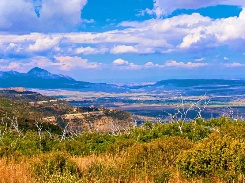 Rock mountains surrounded by trees and other plants during summertime in Mesa Verde National Park