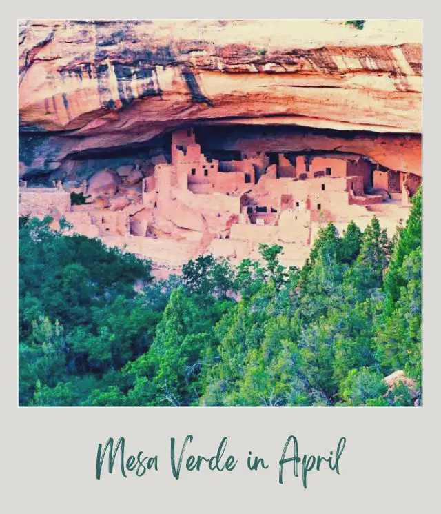 Visiting Mesa Verde National Park: What To Expect Throughout the Year Rock cliffs and mountains surrounded by green trees in Mesa Verde National Park.