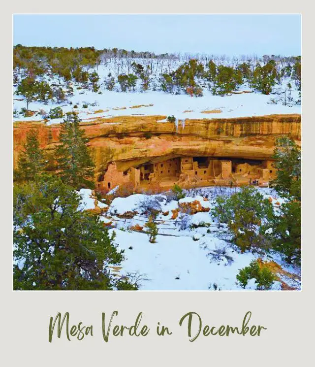 Visiting Mesa Verde National Park: What To Expect Throughout the Year Rock formations surrounded by trees and snow in Mesa Verde National Park