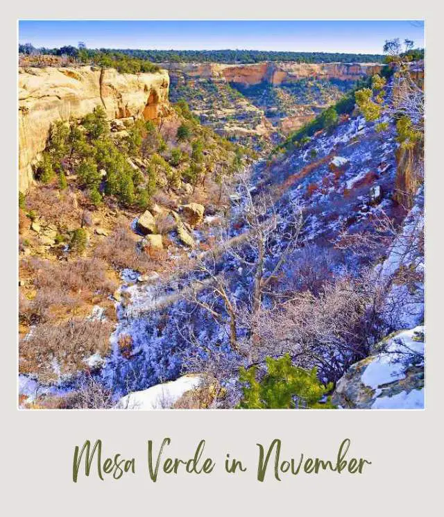 Visiting Mesa Verde National Park: What To Expect Throughout the Year Rock mountains and formations surrounded by trees and snow in Mesa Verde National Park