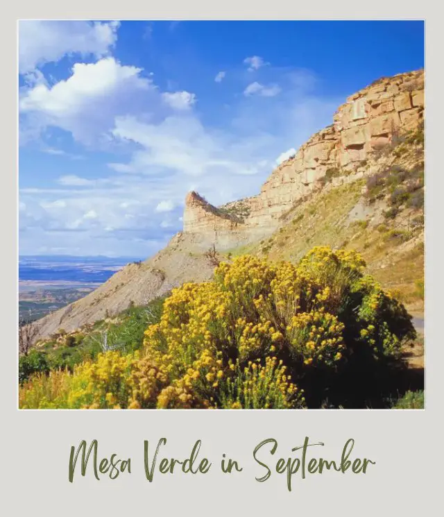 Visiting Mesa Verde National Park: What To Expect Throughout the Year Rock mountains surrounded by colorful plants under the blue sky in Mesa Verde National Park.