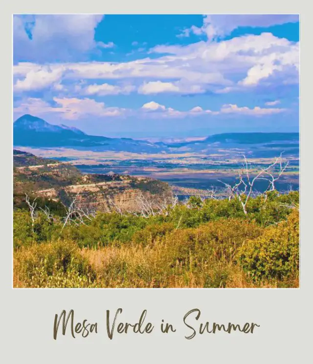 Best Time To Visit Mesa Verde National Park Rock mountains surrounded by trees and other plants during summertime in Mesa Verde National Park