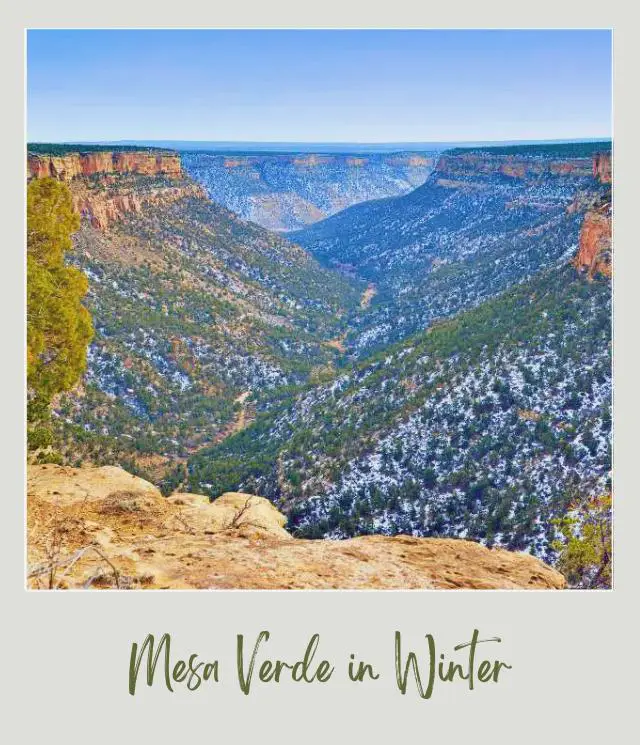 Visiting Mesa Verde National Park: What To Expect Throughout the Year Mountains of trees filled with snow in Mesa Verde National Park