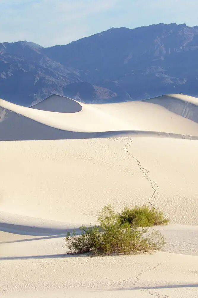 Mesquite Flat Death Valley